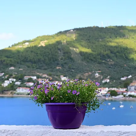 Thama Of 1 * Skiathos Town